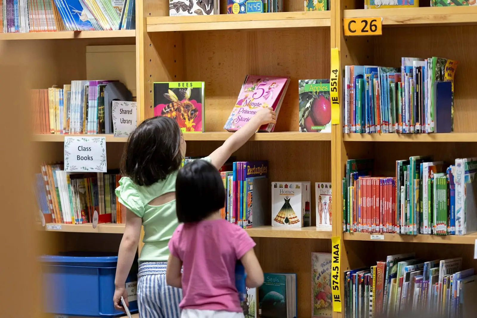 Library at Carlucci American International School of Lisbon, two pupils seen from behind