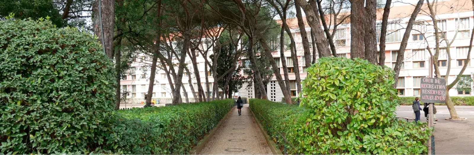 Tree-lined path in the grounds of the Lycée français Charles Lepierre