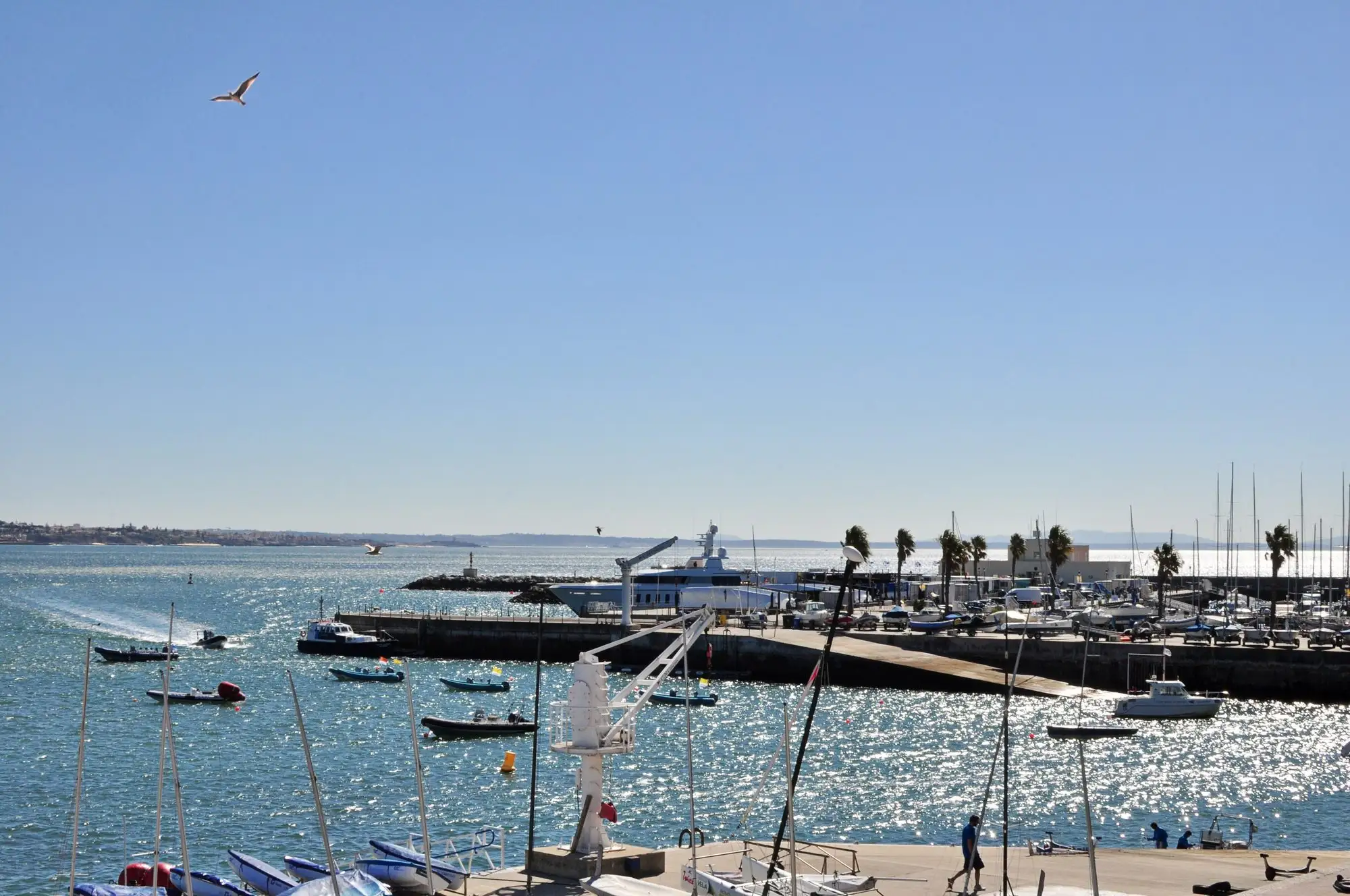 Boats moored in Cascais Bay with the marina behind